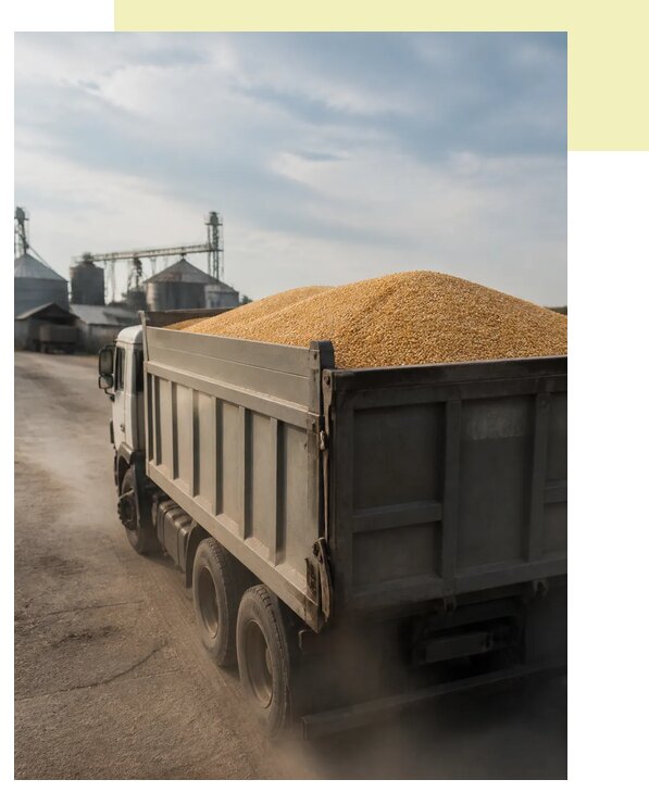 Перевозка сельхозпродукции навалом в Барабинск по цене от 3047 р. | Агросервис-Ббн